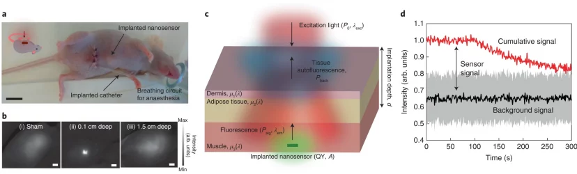 A wavelength-induced frequency filtering method for fluorescent nanosensors in vivo