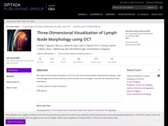 Three-Dimensional Visualization of Lymph Node Morphology Using OCT